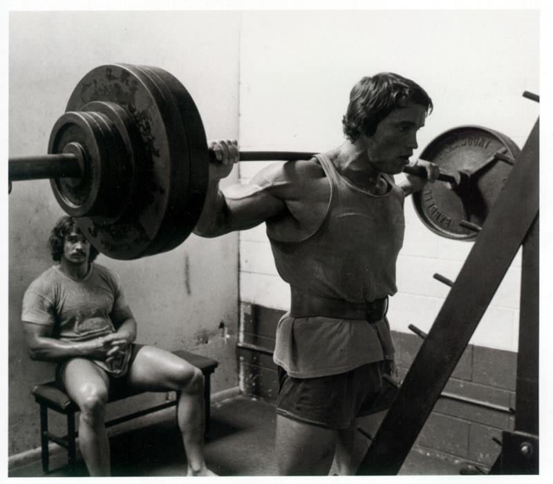 Arnold Schwarzenegger - Muscle gallery