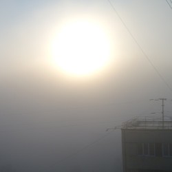 5:30 am today #fog #mist #dawn #dawning #sun ☀ #TheSun  #туман не видно не..