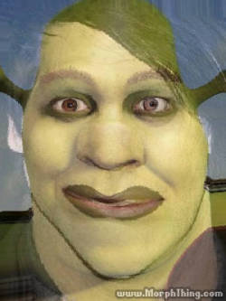 satans-bakesale:  featherdusters:  satans-bakesale:  the other day i morphed marilyn manson and shrek  shrek. 15. non conformist. i probably hate you. also i am bi  FUCK