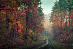 connor-burrows:Fall ribbon road by ArtByCamera