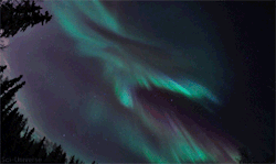 peaceful-moon:  sci-universe:  Aurora over Alaska, captured by Taro Nakai.  ☮ nature aฏ๎๎๎๎๎๎๎๎๎๎๎๎๎๎๎๎๎๎๎๎๎๎d good vibes ☾ 