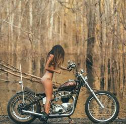 biker-babes:  .