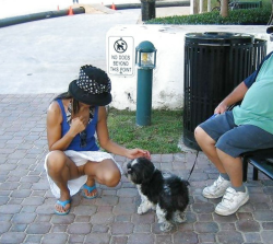 carelessnaked:  Showing pussy accidentally when petting a dog in a public place 