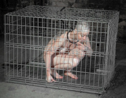 aewriter4:  Another naked white girl ready for shipment to the African Republic of Zumba.  Nude head shaved to make her look less human, chain-leashed around her neck even though she’s already in a cage, the girl thinks she knows what degradation awaits