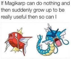 funnygamememes:  #MagikarpInspiration   It&rsquo;s not too late for me to grow up and be useful