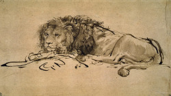 luneraynokitsune:  Rembrandt van Rijn