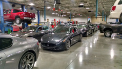 we just got a new shipment of Maserati&rsquo;s in