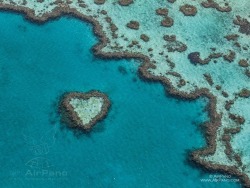 earthstory:  Happy Valentine’s day.Even though its nearly over for me here Down Under at the end of the day, we wish all our readers a happy Valentines day with an aerial photo of a heart shaped island in Australia’s Great Barrier reef.LozImage credit: