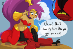 nsfani21: in the aftermath of yet another failed attack on Scuttle Town, Shantae captures a straggling Tinkerbat and makes an exciting discovery of possibly why Risky Boots is so affectionate towards her minions. Hopefully for the little genie, it takes