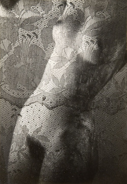 formerlyuncredited:  Nude With Golden Lace II  			 				Josef Ehm 