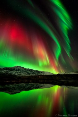 two-men-in-love:misterlemonzafterlife:  coiour-my-world:Tommy Eliassen Photography ~ &quot;Magic Night&quot;  Location- Melfjellet, Nordland, Norway. https://MisterLemonzAfterlife.tumblr.com/archive   Two Men In L❤️ve