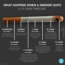 theacenightwatch:classicdaisycalico:thepyrobotsoul:  nutritionbeast:  This is what happens when a smoker quits. Pass it on.  This is so important  How does this not have more notes?! Seriously, take the time to read this because it could save a life.