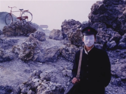 sews:  Pastoral: To Die in the Country (Shûji Terayama, 1974) 