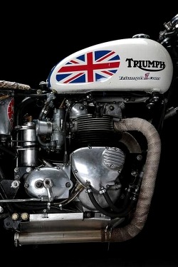 combustible-contraptions:  Triumph Bonneville | Cafe | Brat | Track 