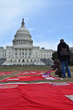 upsettingrapeculture:  The first display of the Monument Quilt in Washington, DC, March 1, 2014 Photo credits: Casey McKeel, Mark Webster, Theresa Keil Photography 