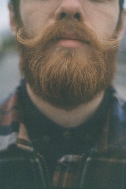 thedailybeard:  oryte:  because beard.  dat stache doe. 