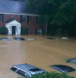 tidalbells3146:  angel-of-lightbulbs:  creativenamelol:  nachornan:  sixpenceee:  sixpenceee:  South Carolina is currently going through a historic flooding. You can read more here. We hope our followers there are safe!  Update: Coffins are literally
