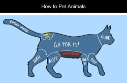 epic-humor:  How to Pet Animals by Adam Ellis      