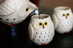 the-absolute-best-posts:  franny-dick: Owl Mugs 
