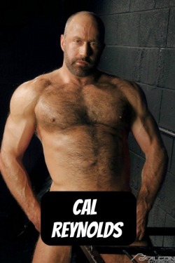 CAL REYNOLDS at Falcon - CLICK THIS TEXT to see the NSFW original.  More men here: http://bit.ly/adultvideomen