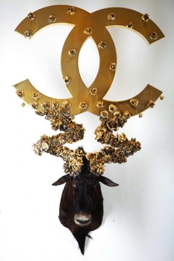 asylum-art-2:   Peter Peter Gronquist’s Taxidermy Gun Antlers  Peter Gronquist makes the  unlikely combination of taxidermy and symbols of power and luxury.  Taking the traditional forms of taxidermy, Peter creates gold and silver  antlers for the stuffed