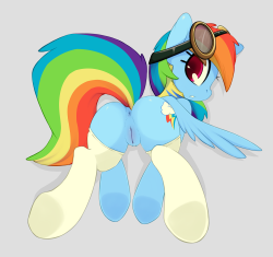 clopper-dude:  smittysart:  Dash  Guess who’s back Back again Smitty’s back For the win  Dat Dashiebutt~
