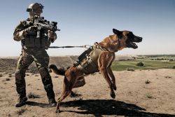 45-9mm-5-56mm:  sof-blog:  German KSK with a working dog.- Eric      (via TumbleOn)