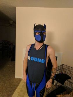 otter-pup-the-pup:  I earned my first piece out of five from sir! My singlet!  AROOOOOOOOO!!!  Such a cute pup!