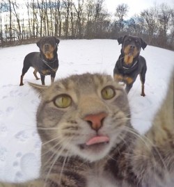 Selfie 80 level 😂  Пацанам показать 😎 by bilyalova_sveta