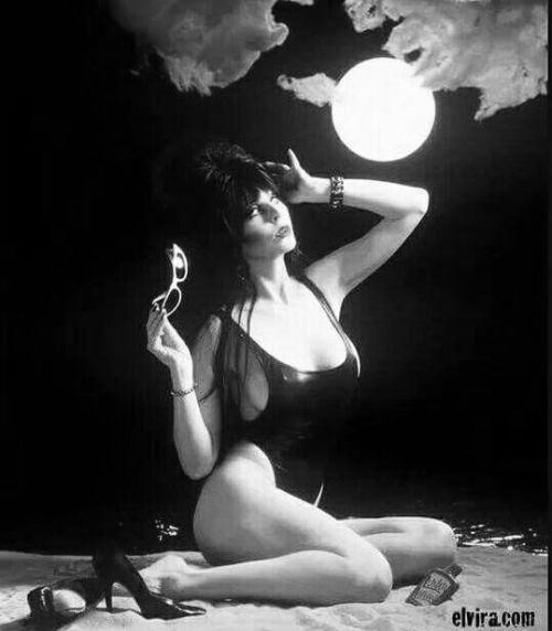 the-butcher-of-plainfield-666: Elvira: Mistress of the Dark 💀 