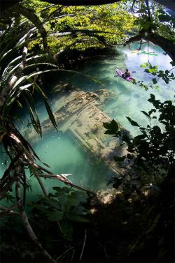 dichotomized:  A Japanese warplane Second World War lies wrecked in shallow water off Guam. 