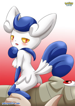 pokesexphilia:    unwanteddisposal said:We need female meowstic up in hereâ€˜Up in hereâ€™â€¦ so thatâ€™s why it feel soÂ â€˜heavenlyâ€™ in this blog =P Anyway, I hope you enjoy =D