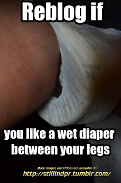 stillindpr: Reblog if you like a wet diaper between your legs  Guilty, guilty, guilty!
