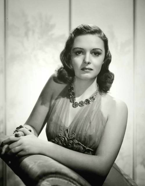 Donna Reed Nudes &amp; Noises  