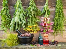 everett-the-mage:  A Practical Guide to Herbology  Lesson One: Medicinal Teas When I was first starting out with herbology, I was living in a small village in Croatia with a total population of less than 100 people. We depended on homemade teas, salves