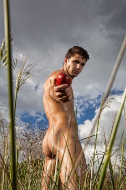 howdoyoulikethemeggrolls:  I figure an apple and two melons will make my doctor happy