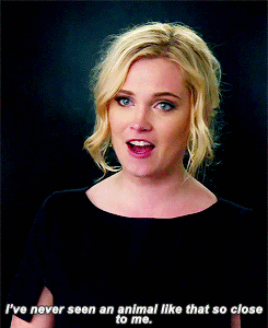 clarkesgriffns:  Eliza talking about the panther     Eliza’s not afraid of anything.