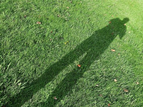 Shadows and tall trees. #unintendedart #accidentalpictures #shadow  (at Gentrytown Park) https://www.instagram.com/p/CVwvX9nLi1fH2c3uFU7vyP7rdgR-6ubLI8zrK00/?utm_medium=tumblr