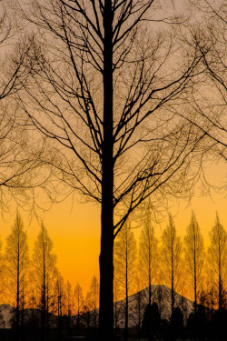 ponderation:  Sunset moment by Minoru Orii
