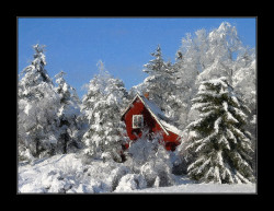 FotoSketcher - house in the snow by FotoSketcher on Flickr.
