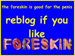 itsjustme11610:  love foreskin!