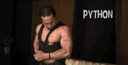 bigthingz:  Python Can Get It….