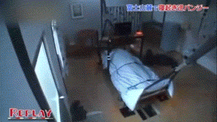 adriofthedead:  morganperreault:  the only way I’ll wake up early  japanese prank shows are on a whole other level 