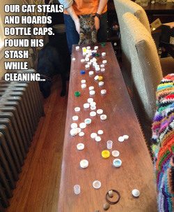 lous-games-win:  hamletwithbears:  sadanduseless:Cat Hoarders The receipt cat is actually a soot sprite.  That last one