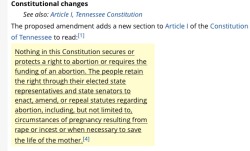 Take a good look this proposed amendment. It should not be viewed as an abortion law. It should be viewed as the government saying they have the right to own women’s lives.This bill literally says that the government can force you to have a child in