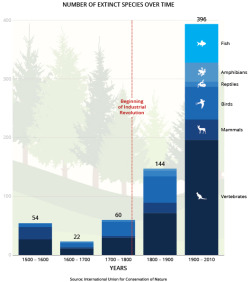 s-c-i-guy:  The Sixth ExtinctionThis chart shows the enormous uptick in species extinction over the last century.  Paul Ehrlich and others use highly conservative estimates to prove that species are disappearing faster than at any time since the dinosaurs