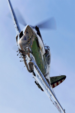 spectre-130:  dave-mech:  Curtiss P-40C Tomahawk by NamelessFaithlessGod  Pure sex