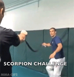 mma-gifs:  Gracie Challenge #1: The Scorpion Challenge Hold one end of a belt, your partner holds the other end, using nothing but a single jedi-jitsu whip of your belt, tie a knot around your partners wrist! Once the knot is secure, pull them towards