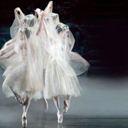 poisoned-apple:&ldquo;Giselle&rdquo; // National Ballet of Canada // Photo by David Cooper