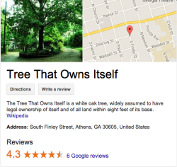 notnumbersix:  daddysplaygrnd:  giraffepoliceforce:  vnicent:  otteroftheworld:  My parents live in this town and the city legally can’t tear the tree down to build or anything because the tree has its own legal rights and they can’t do anything about